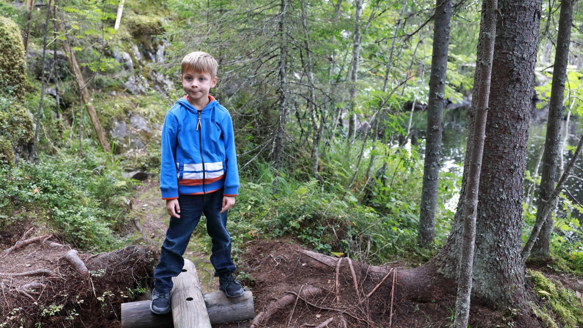 Pojke i skogen